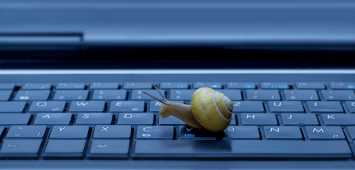 Schnecke auf einer Tastatur