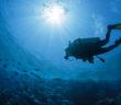 Taucher taucht im roten Meer in Ägypten
