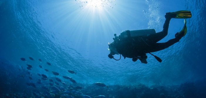 Taucher taucht im roten Meer in Ägypten
